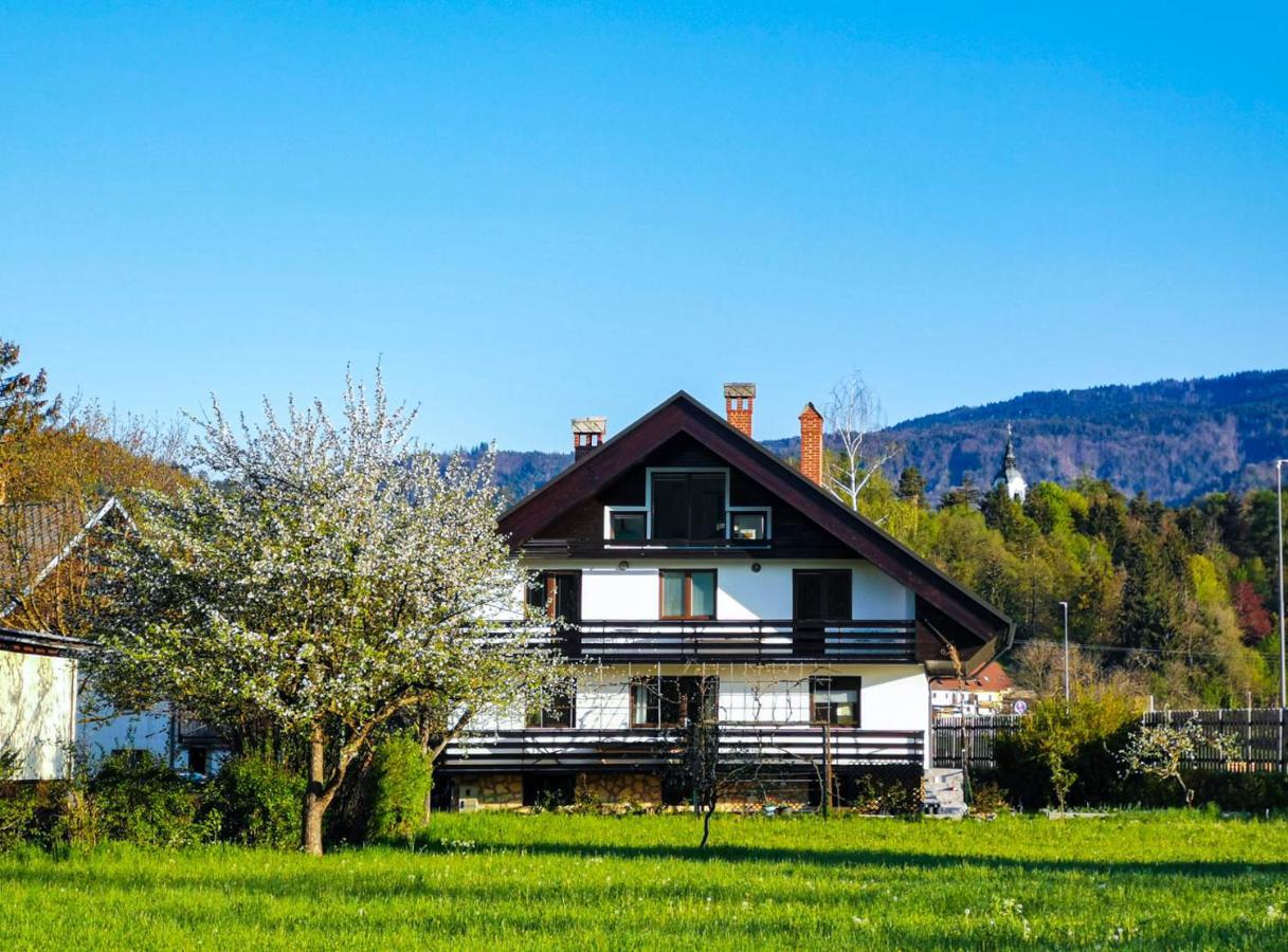 Deerwood Villa-Modern Cozy Apartment With Castle View ブレッド エクステリア 写真