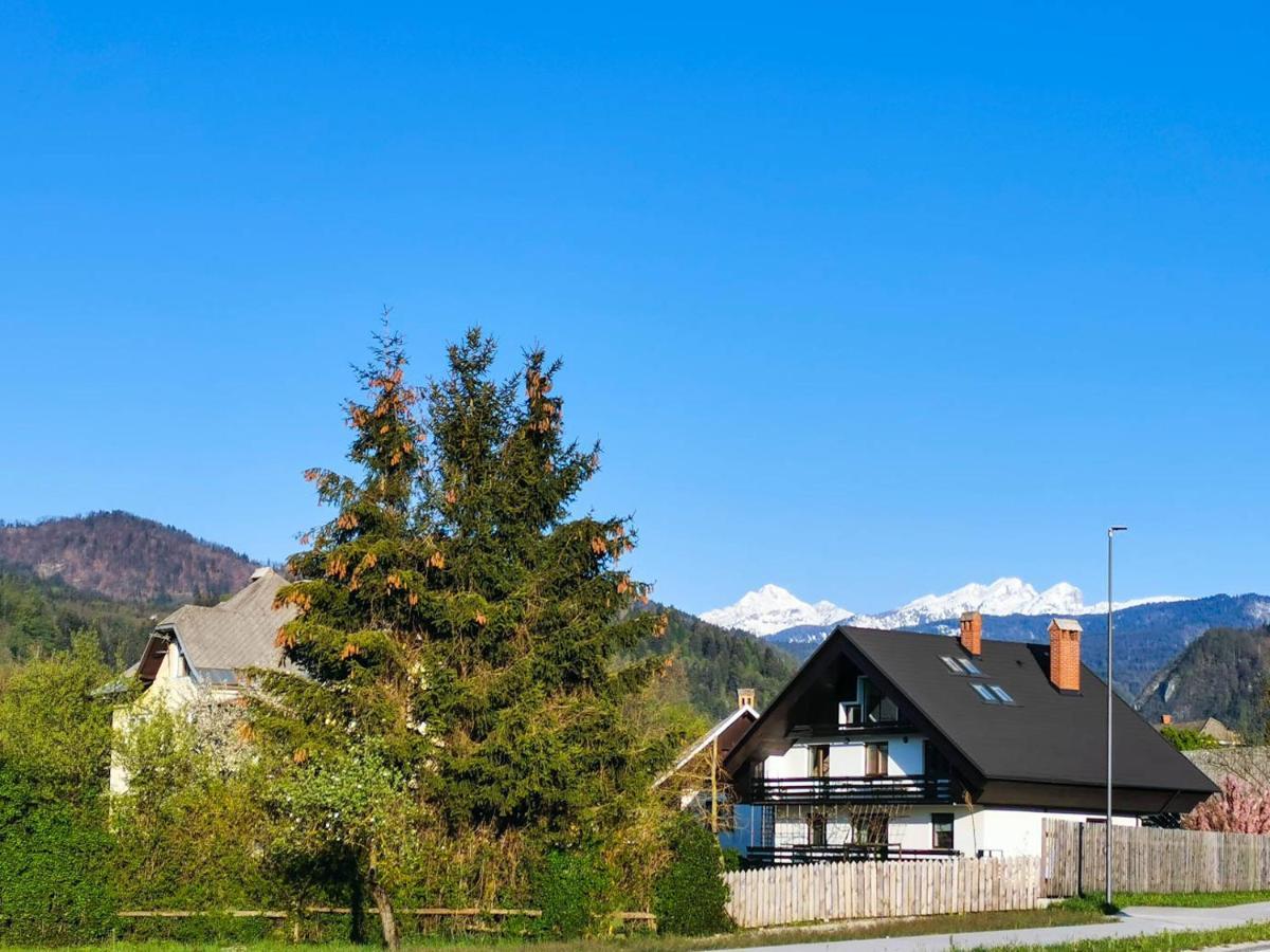 Deerwood Villa-Modern Cozy Apartment With Castle View ブレッド エクステリア 写真